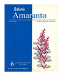 Boletín Amaranto: Año 11 Número 3